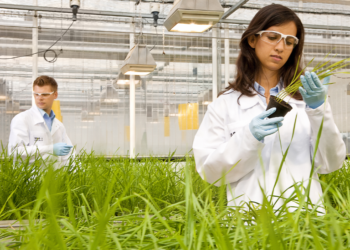 formasi cpns jurusan pertanian