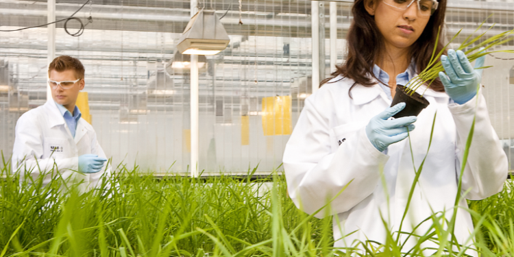 formasi cpns jurusan pertanian