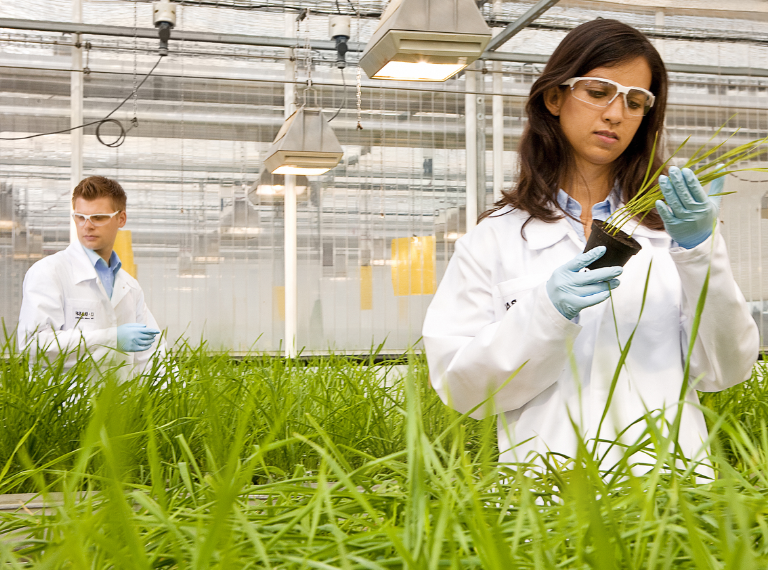 formasi cpns jurusan pertanian