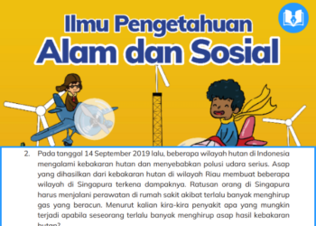 pada tanggal 14 september 2019 lalu, beberapa wilayah hutan di indonesia