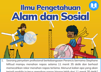 seorang penyelam profesional berkebangsaan perancis